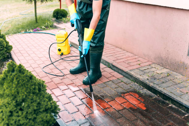 Best Fence Cleaning  in Vamo, FL